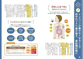 糖質制限なしでかんたん糖尿病予防! (サクラムック 楽LIFEヘルス